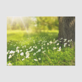 Die Freuden des Frühlings Seidenpapier