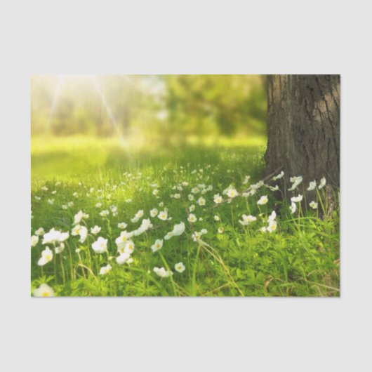 Die Freuden des Frühlings Seidenpapier (Vorderseite)