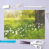 Die Freuden des Frühlings Seidenpapier (Handwerk)