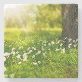 Die Freuden des Frühlings Steinuntersetzer (Vorderseite)