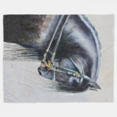 Die friesische Decke (Vorderseite (Horizontal))
