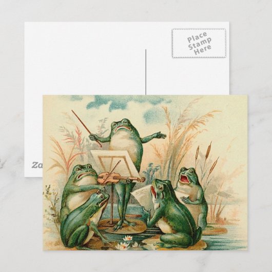 Die Froschband Postkarte (Vorne/Hinten)
