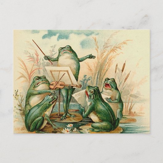 Die Froschband Postkarte (Vorderseite)