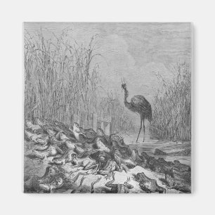 Die Frösche, die für einen König fragen, Magnet