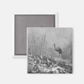 Die Frösche, die für einen König gefragt haben, Magnet (Vorderseite/Rückseite)