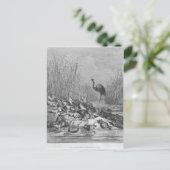 Die Frösche, die für einen König gefragt haben, Postkarte (Stehend Vorderseite)