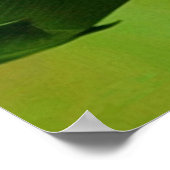 Die Frucht der Erinnerung der Spirituosenbibel Poster (Ecke)