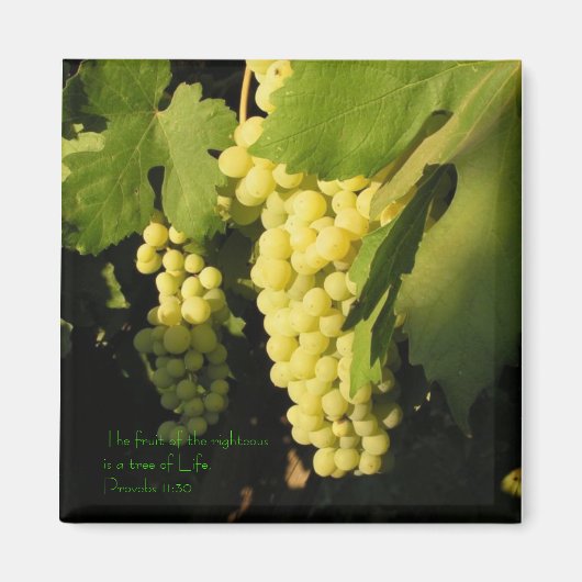 Die Frucht der Rechtschaffenen ist ein Baum von.. Magnet (Vorne)