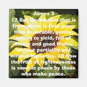 die Frucht der Redlichkeitsbibel-Verssonnenblume Magnet