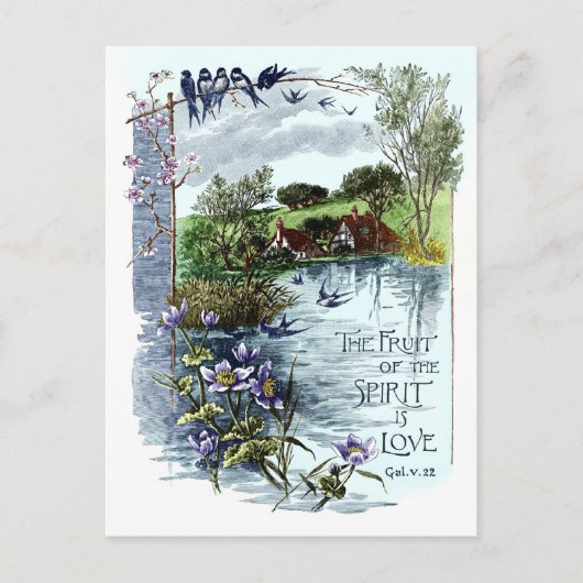 Die Frucht des Geistes ist Liebe Postkarte (Vorderseite)