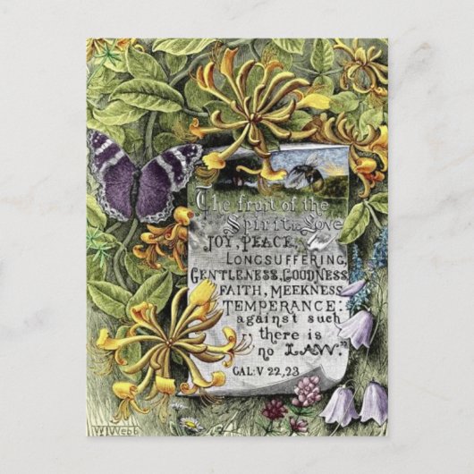 Die Frucht des Geistes Postkarte (Vorderseite)