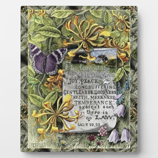 Die Früchte des Spirit Plaque Fotoplatte (Vorderseite)