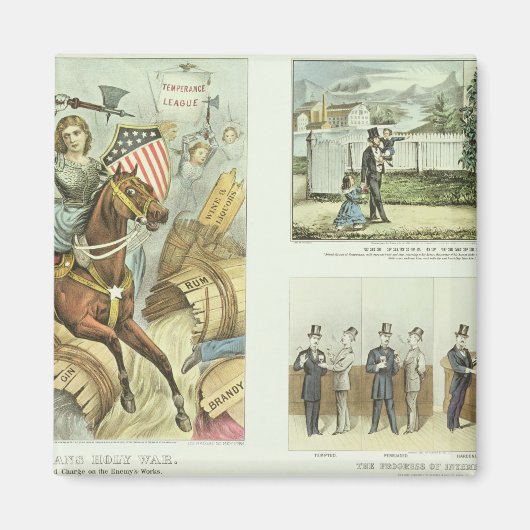 Die Früchte des Temperaments Magnet (Vorne)