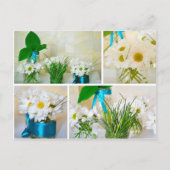 Die Frühlingsfarben, weiße Blume auf der Postkarte (Vorderseite)