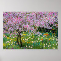 Die Frühlingszeit im Garten von Claude Monet
