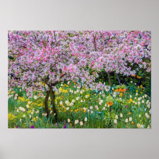 Die Frühlingszeit im Garten von Claude Monet Poster (Vorne)