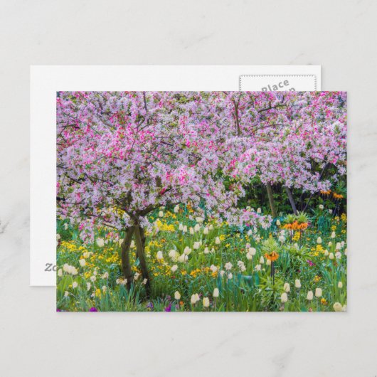 Die Frühlingszeit im Garten von Claude Monet Postkarte (Vorne/Hinten)
