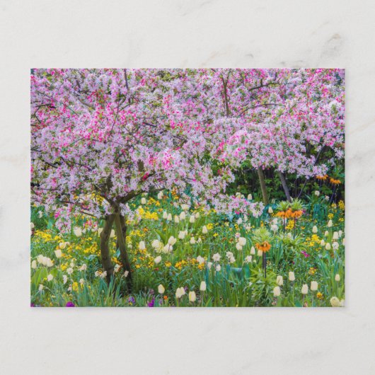 Die Frühlingszeit im Garten von Claude Monet Postkarte (Vorderseite)