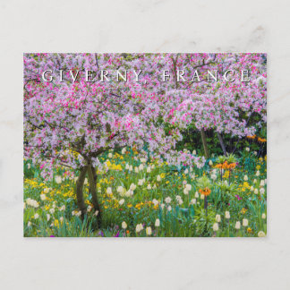 Die Frühlingszeit im Garten von Claude Monet Postkarte
