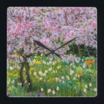 Die Frühlingszeit im Garten von Claude Monet Quadratische Wanduhr<br><div class="desc">Jaynes Gallery / DanitaDelimont.com | Europa,  Frankreich | Frankreich,  Giverny. Im Garten von Claude Monet.</div>