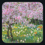 Die Frühlingszeit im Garten von Claude Monet Quadratischer Aufkleber<br><div class="desc">Jaynes Gallery / DanitaDelimont.com | Europa,  Frankreich | Frankreich,  Giverny. Im Garten von Claude Monet.</div>