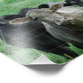 Die Führung Fotodruck (Ecke)