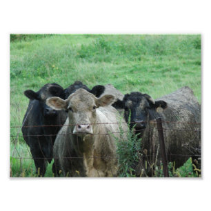 Die Führung Fotodruck