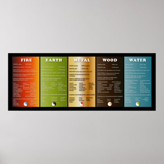 Die fünf Elemente Poster (Vorne)