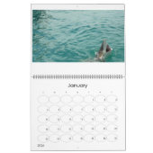 Die fünf Meere Kalender (Jan 2026)