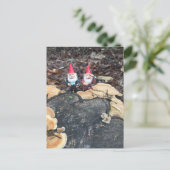 Die Fungus-Gnome Postkarte (Stehend Vorderseite)