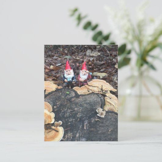 Die Fungus-Gnome Postkarte (Stehend Vorderseite)