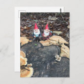 Die Fungus-Gnome Postkarte (Vorne/Hinten)