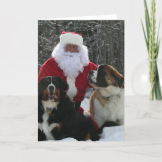Die Furry Helfer des Weihnachtsmanns Feiertagskarte