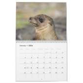 Die Galapagos - 12-monatiger Wandkalender (Jan 2026)