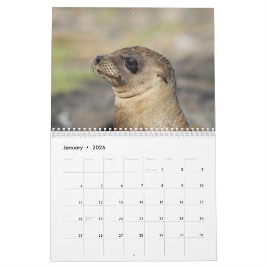 Die Galapagos - 12-monatiger Wandkalender (Jan 2026)