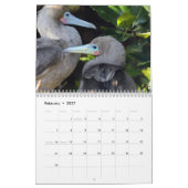 Die Galapagos - 12-monatiger Wandkalender (Feb 2027)