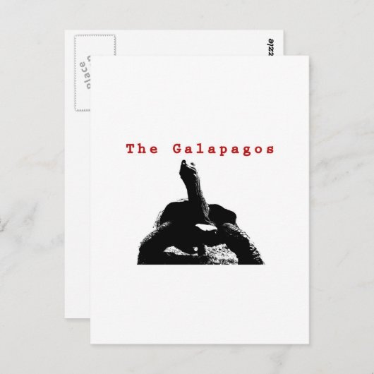 Die Galapagos Postkarte (Vorne/Hinten)