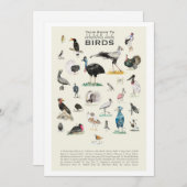 Die Galerie der bezaubernd doofy Birds 12x18 Card (Vorne/Hinten)