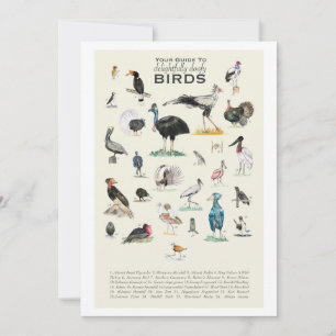 Die Galerie der bezaubernd doofy Birds 12x18 Card
