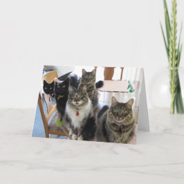 Die Gang Birthday Grußkarte Karte