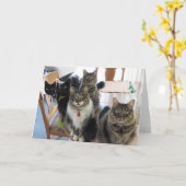 Die Gang-Cats-Abschluss-Karte Karte (Gelbe Blume)