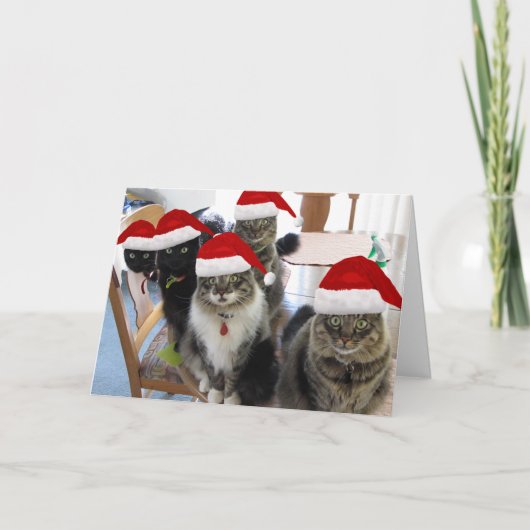 Die Gang frohe Weihnachtsgrüße Feiertagskarte (Vorderseite)