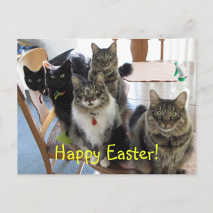 Die Gang-Happy-Osterpostkarte Feiertagspostkarte