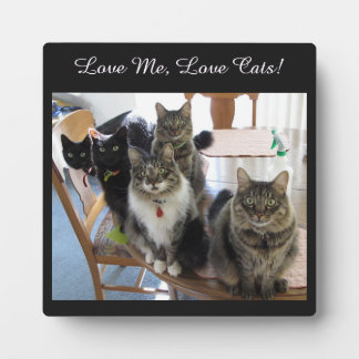 Die Gang Liebe Me Liebe Katzen Foto Plaque Fotoplatte