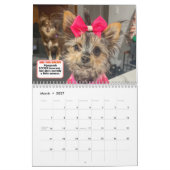 Die ganze Bande Kalender (Mär 2027)