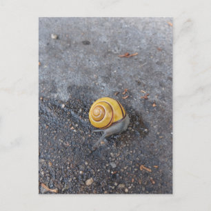 Die Garten-Schnecken-Postkarte Postkarte