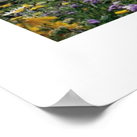 Die Gärten von Versailles Poster (Ecke)