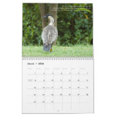 Die Garteninsel Kauai Altes Paradies Kalender (Mär 2026)