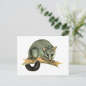 Die gebürstete Possum aus Australien Postkarte (Stehend Vorderseite)