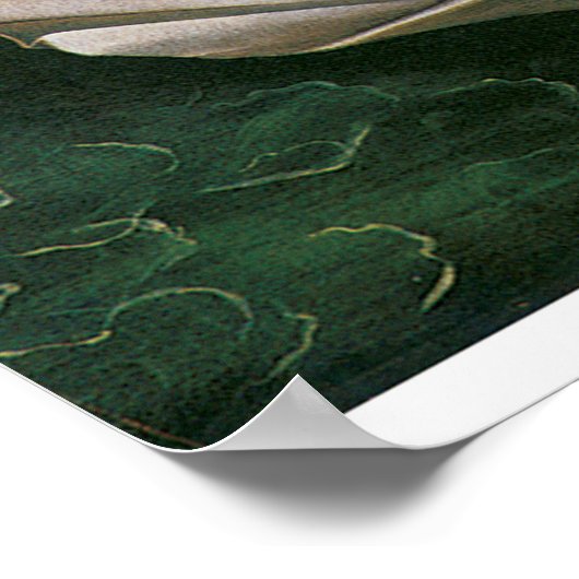 Die Geburt der Venus durch Sandro Botticelli, Rena Poster (Ecke)